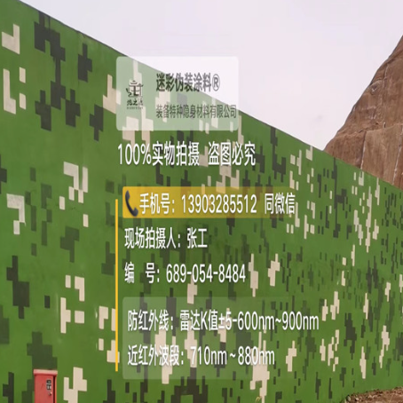 大庆专业承接园区围墙迷彩喷涂、
